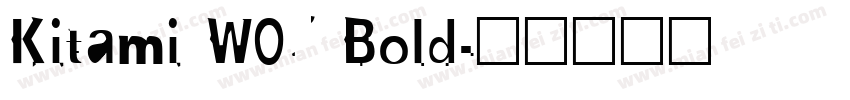 Kitami W05 Bold字体转换
